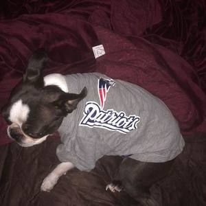 Meet your Posher, Kelsey